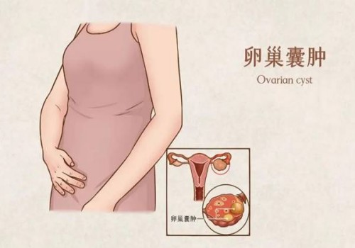 苏州助孕机构：泰国试管婴儿生儿子有3大优势，至少成功率是高的