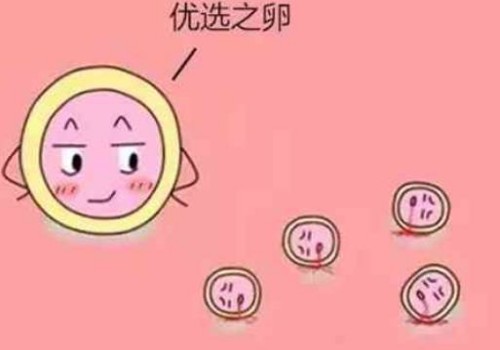 调整心态保持心情愉快，增加试管移植后的成功率