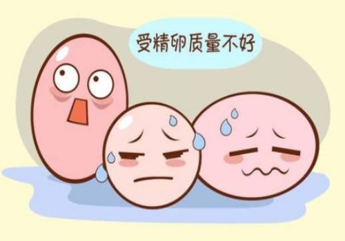 新生儿使用安抚奶嘴：有利于新生儿的健康成长