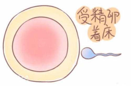 叶黄素真的能改善视力吗,建议家长都来学一学