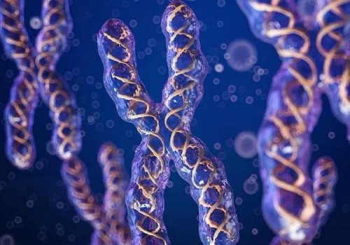 苏州正规助孕机构：月经不调很难怀孕吗,告诉你不孕的真实现象