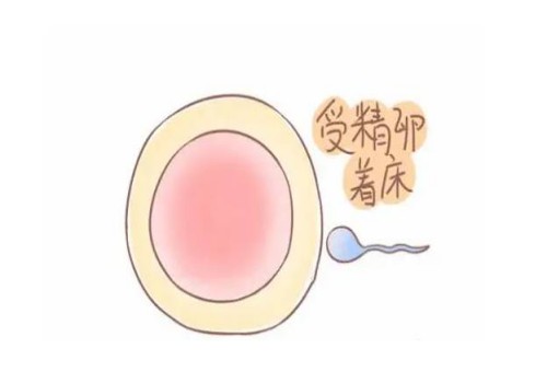 抗过敏益生菌品牌太多，想要选对学学这个方法
